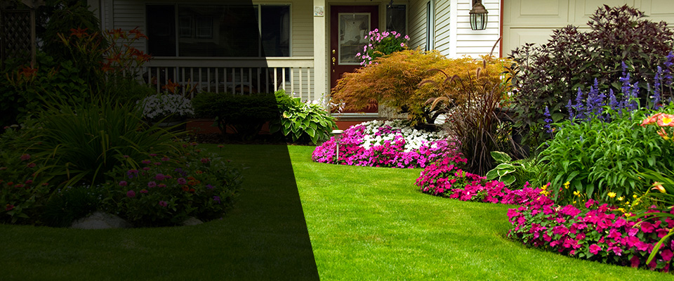 Mccomb Landscapers